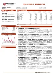 蓄技术与产能布局之势，随新能源业务上行而发