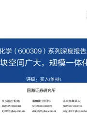 系列深度报告之三:聚氨酯-板块空间广大,规模一体化优势显著