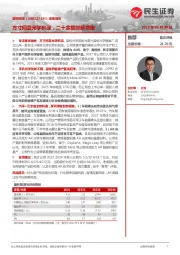 深度报告:方寸间显光学积淀,二十余载创新领跑