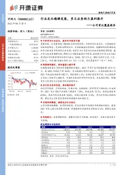 公司首次覆盖报告：行业龙头稳健发展，多元业务助力盈利提升