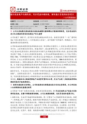 公司深度报告:能化设备国产化领先者,充分受益双碳战略,核电接力多晶硅业务发力