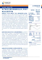 国产激光元器件领域领先企业,布局中游应用前景可期