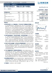 组串逆变器龙头,储能逆变器开始爆发