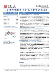 小分子药物研发前后端一体化平台，加速布局打开成长空间