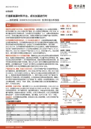 投资价值分析报告：打造新能源材料平台，成长加速进行时