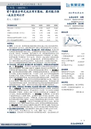 首个整县分布式试点项目落地，盈利能力强+成长空间打开