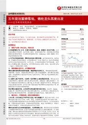 台华新材深度报告:五年规划重磅落地,锦纶龙头再度出发