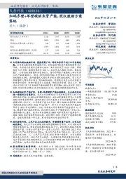 加码多壁+单壁碳纳米管产能,股权激励方案落地