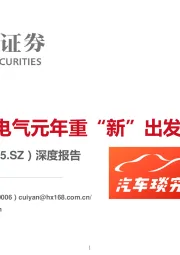 深度报告：自主向上 电气元年重“新”出发