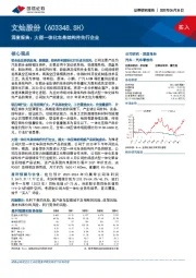 深度报告：大型一体化车身结构件先行企业