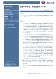 硅基扩产加持，高端负极再下一城