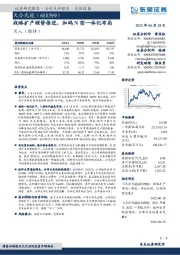 战略扩产顺势推进,加码N型一体化布局