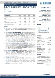 募资扩产顺应需求高增,储能与组串并翼双飞