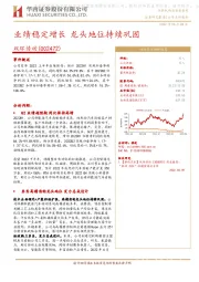 业绩稳定增长 龙头地位持续巩固
