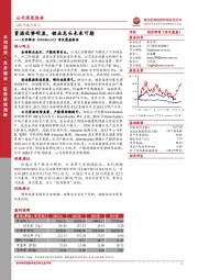 首次覆盖报告：资源优势明显，锂业龙头未来可期