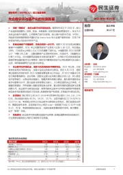 首次覆盖报告:央企数字化与国产化的双重新星