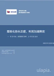 公司深度报告：高端化势头正盛，利润加速释放