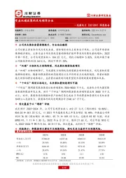 深度报告：受益双碳政策的风电领军企业