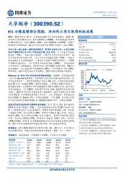 H1业绩高增符合预期，非洲两大项目取得积极进展