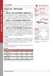 包装瓜子龙头，提价红利显现