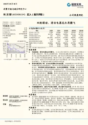 双轮驱动，清洁电器龙头再腾飞