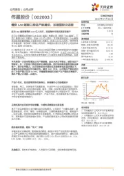 增资SAB越南以推进产能建设，加速国际化进程