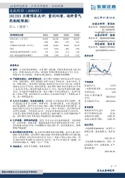 2022H1业绩预告点评:量利双增,硅料景气周期超预期!