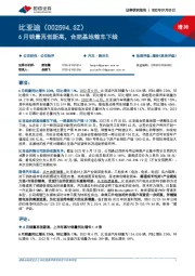 6月销量再创新高，合肥基地整车下线