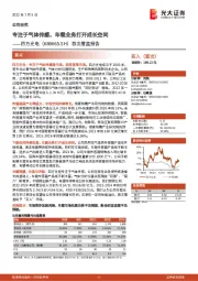 首次覆盖报告:专注于气体传感,车载业务打开成长空间