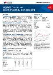 磷化工高景气业绩高增，新材料领域加速放量