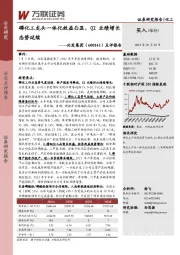 点评报告：磷化工龙头一体化效益凸显，Q2业绩增长态势延续