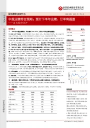 迈为股份点评：中报业绩符合预期；预计下半年业绩、订单将提速