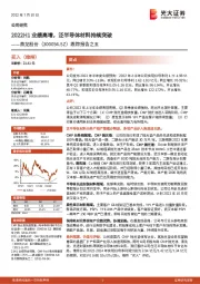 跟踪报告之五：2022H1业绩高增，泛半导体材料持续突破