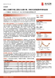 2022年半年度业绩预告点评:磷化工及磷矿价格上涨助力业绩大增,持续关注新能源材料落地进展