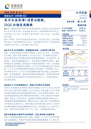 医疗业务高增+消费品稳健，22Q2业绩表现靓眼