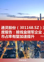 深度报告：接线盒领军企业，市占率有望加速提升