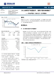 点评报告：加工助剂等产销量提升，期待不溶性硫磺投产