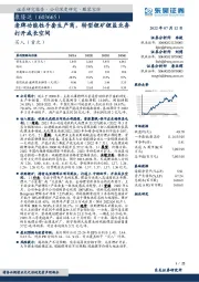 老牌功能性手套生产商，转型锂矿锂盐业务打开成长空间