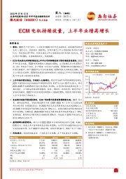 ECM电机持续放量，上半年业绩高增长