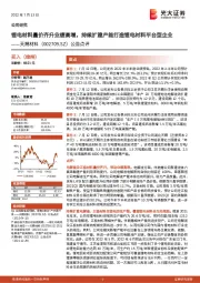 公告点评：锂电材料量价齐升业绩高增，持续扩建产能打造锂电材料平台型企业