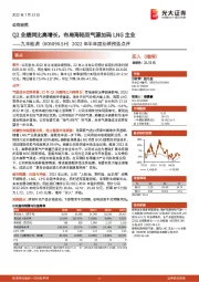 2022年半年度业绩预告点评:Q2业绩同比高增长,布局海陆双气源加码LNG主业