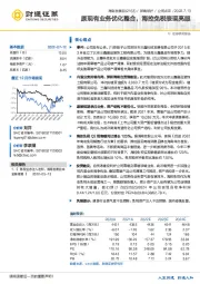 原现有业务优化整合，海控免税表现亮眼
