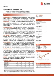 投资价值分析报告:产能持续增长,神鹰展翅飞翔