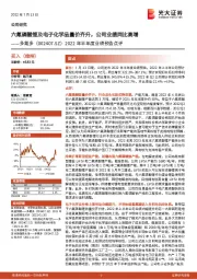 2022年半年度业绩预告点评:六氟磷酸锂及电子化学品量价齐升,公司业绩同比高增