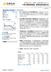 中报业绩略超预期,跨境电商持续布局