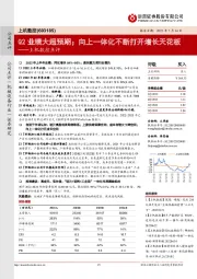 上机数控点评:Q2业绩大超预期;向上一体化不断打开增长天花板