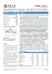 锂电材料新平台渐成型，锂业量价齐升主业稳增