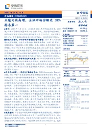 业绩同比高增，全球市场份额达38%排名第一