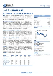 Q2大超预期，拐点已现续享海外数通红利