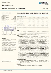 Q2业绩符合预期，新能源材料平台雏形已现